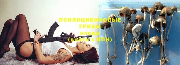 МДМА Заводоуковск