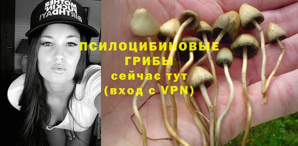 мет Зеленодольск