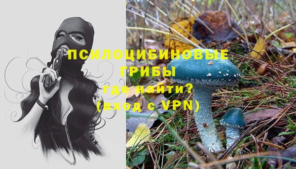 эйфоретик Заволжье