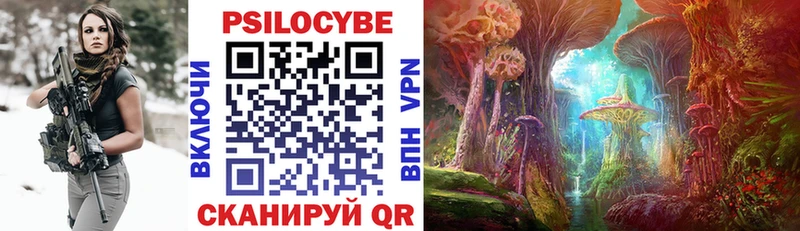 Псилоцибиновые грибы Psilocybe  как найти   Октябрьский 